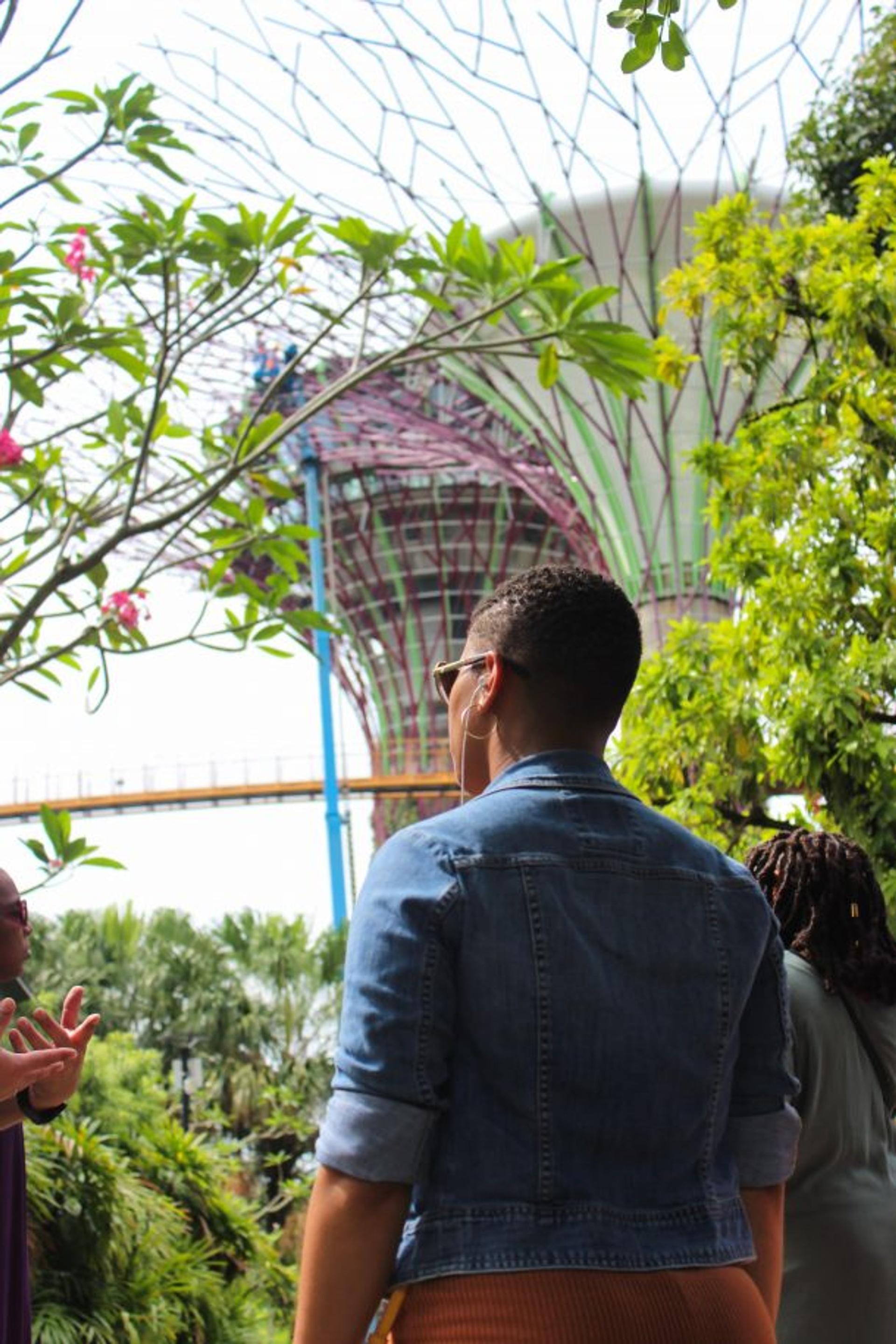 The Singapore & Malaysia Experience