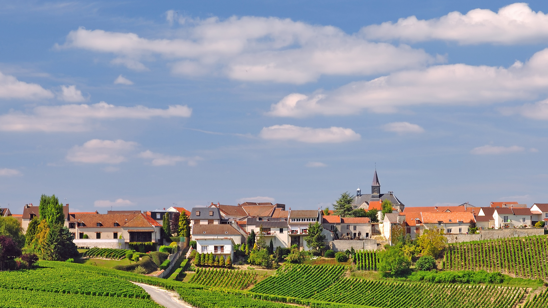 France - Where You'll Go